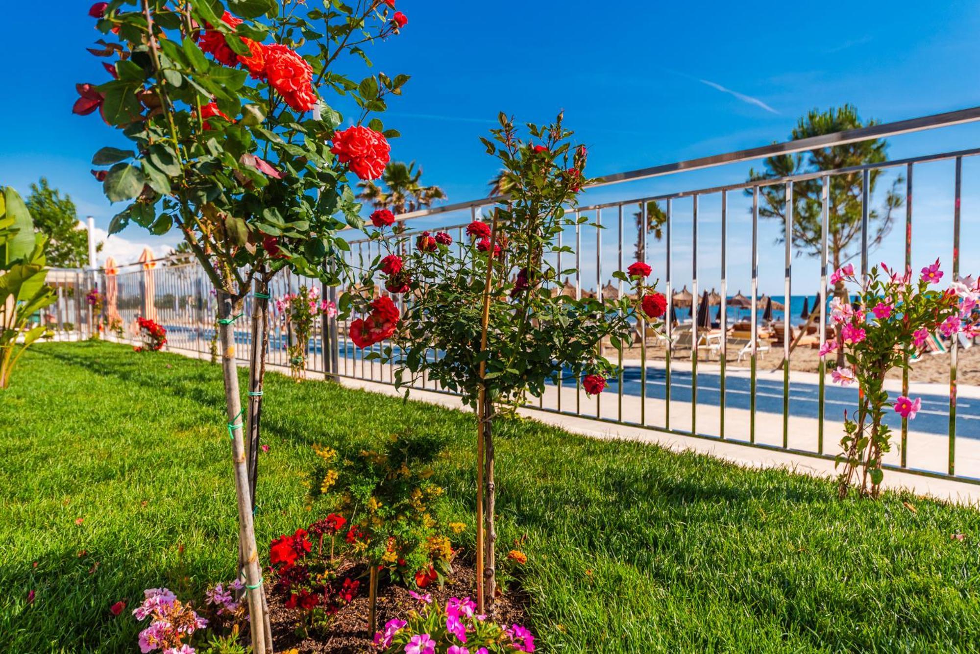 Sea View Apartments Eldo Durrës Exteriér fotografie
